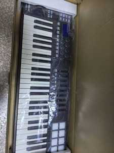 PANDAMINIc Contrôleur <span class=keywords><strong>MIDI</strong></span> <span class=keywords><strong>Mini</strong></span> 61 touches Synthétiseur |   <span class=keywords><strong>Clavier</strong></span> musical portable en plastique pour la production en studio - Product Image 2