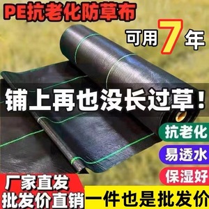 6666 Weed Control Cloth 3M Black Anti-Uv Agricultural Orchard Ground Cover Mulch Film Garden Netting - Product Image 4