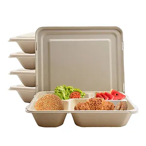 Custom Eco Recycled Disposable Degradable Food Grade Lunch Food Salad Tray Paper Pulp Box Packaging