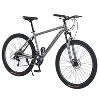 Vélo de montagne pour adulte de 29 pouces, équipement de plein air, vélo pour homme et étudiant, amortisseur, freins à double disque, vente en gros transfrontalière