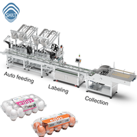 SKILT High-Speed Plastic Eierdoos Etiketteermachine met Meerdere Voedingskanalen en Automatische Stapel- en Verzamelapparaat