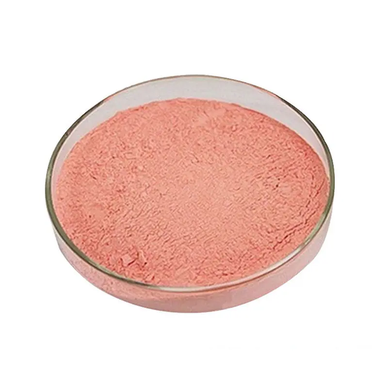 Spray Dried soluble Watermelon Fruit juice Powder concentrate watermelon extract powder