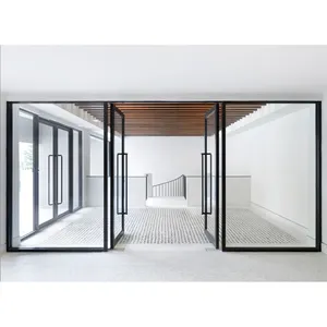 Cam enerji verimliliği alüminyum kapı ticari ev modern pivot cam kapi çift camlı dış pivot kapı