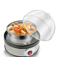 Mini Cuiseur à Œufs Multifonctionnel en Acier Inoxydable pour Crème aux Œufs, Cuiseur Vapeur Automatique avec Arrêt Automatique