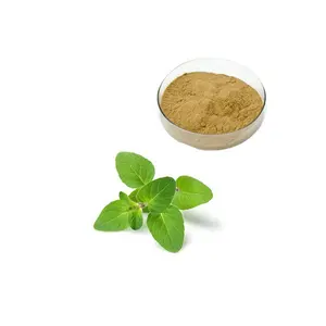 Wholesale Factory Supply Tulsi Extract Powder Holy Basil Extract Powder