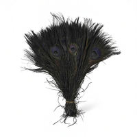 Éventail décoratif en plumes de paon colorées, idéal pour événements, scènes, costumes, carnavals et fêtes - Grande Vente