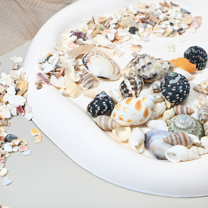 Perles de Coquillages Marins Miniatures Concassés, Coquilles Spirales d'Océan pour Résine, Bougie, Aquarium et Décoration de Bonsaï - Product Image 2
