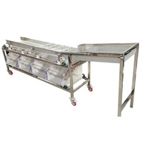 Beste Automatische Groente-en Sorteermachine Data Jujube Datum Palm Sorteren Machine