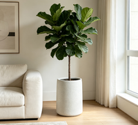 Nouvel ensemble de jardinières cylindriques hautes et robustes de style nordique, finition mate grainée minimaliste, pot de fleurs pour aménagement paysager de cour