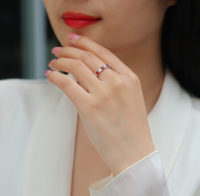 Zierlicher Laborgezüchteter Rubin Moissanit Eternity Ring S925 Sterling Silber 18K Vergoldet Abwechselndes Stapelband Feiner Ring
