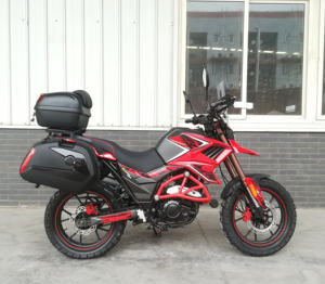 FUEGO <strong>TEKKEN</strong> 250 Cheap for Sale <strong>250cc</strong> All Terrain <strong>Motorcycle</strong> 11190135 - Product Image 2