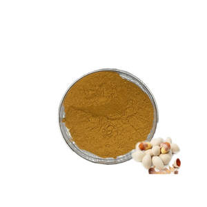 天然イチョウ種子エキス粉末 4:1 |   精液イチョウ（イチョウの葉） |   脳の健康と抗酸化物質のサポート |   まとめ買い業者 - Product Image 1