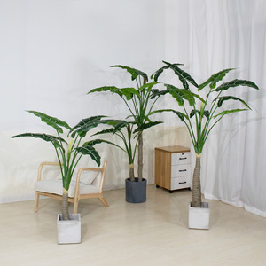 Plante artificielle Arum en pot, très populaire, pour décoration de bureau et intérieur - Plantes vertes Arum à vendre - K - Product Image 2