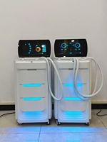 Machine professionnelle 2 en 1 pour l'épilation et le détatouage, laser diode 810 nm, laser picoseconde YAG, dernière génération