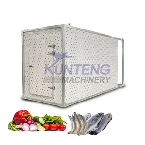 Mini congélateur conteneur 20 pieds chambre froide de stockage marcher dans l'équipement de réfrigération stockage pour viande poulet légumes poisson