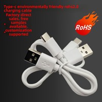 Câble de charge USB-A vers Type-C certifié RoHS, protection environnementale, 1A, PVC, vente en gros d'usine, export pour Type C