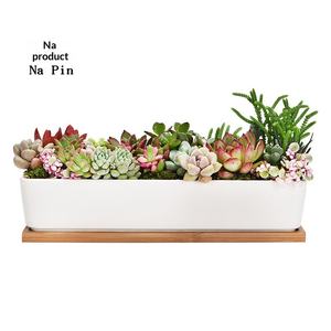 Pot à fleurs en céramique Napin pour l'exportation, pot long en porcelaine blanche exclusif pour plantes succulentes, idéal pour le commerce électronique transfrontalier - Product Image 4