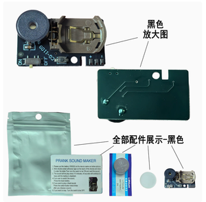 Gag Gifts & Funny Pranks: Dispositivo Sonoro a Forma di Grillo per Scherzi, in Plastica, a Lunga Durata, con Suono Nascosto, per Adulti - Product Image 2