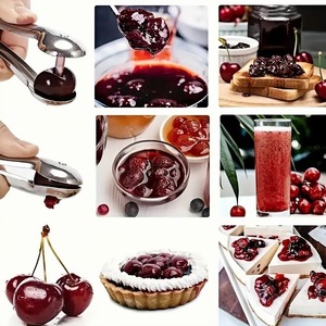 Extracteur de noyaux de cerises et de dattes en acier inoxydable, outil domestique pour retirer les pépins de fruits, facile à nettoyer, 1 pièce - Product Image 1