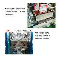 Machine de remplissage de noix de popcorn de haute qualité CE à bon prix, machine d'emballage granulaire d'arachides de 100g à 1000g