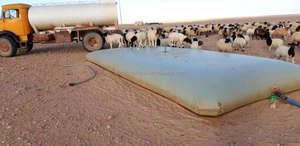 High Quality Customized Size 24000 L BPA Free Water Storage <strong>Bladder</strong> for Libya Customers - Product Image 5