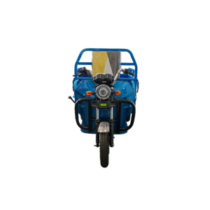 Tricycles 3Plus EEC 1000W pour adultes, étanches, vitesse 30-50 km/h, charge utile 600 kg, véhicule à trois roues, moteur haute puissance 1000W. - Product Image 2