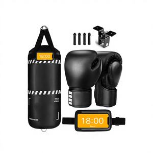 Kit de boxe pour enfants, gants d'entraînement et sac de frappe lourd, matériau PU écologique pour débutants - BURAQ MMA SPORTS - Product Image 1