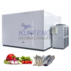 Industrial automatic outdoor walk in freezer units for sale cold room with windows fridge house for ice block