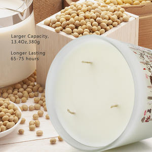 Bougie artificielle costume de <span class=keywords><strong>CACTUS</strong></span> <span class=keywords><strong>fleur</strong></span> de soja 100% biologique, 14.6oz, 3 brin, étiquette privée, odeur, longue durée 125H, cadeaux pour la maison, offre spéciale - Product Image 3