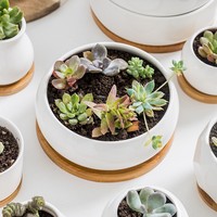 Petits pots en céramique pour plantes succulentes et verdoyantes, pots à fleurs en porcelaine blanche, décoration créative avec plateau