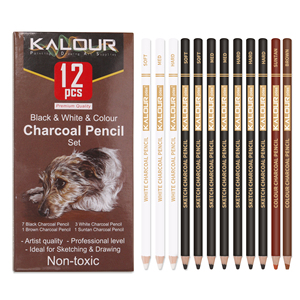 KALOUR - Juego de 12 Lápices de Dibujo de Color Negro, Blanco y Carbón en Caja de Papel para Dibujar y Bocetar, como Material de Arte - Product Image 2