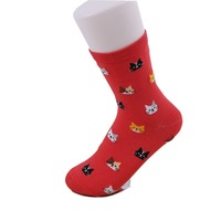 Vente en gros de chaussettes mignonnes en coton pour filles et femmes, tendances chat et animaux cartoon pour femmes