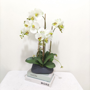 Bonsai di Orchidea Phalaenopsis Artificiale Real Touch con Vaso, Fiore di Orchidea Real Touch in Vaso per Decorazione - Product Image 1