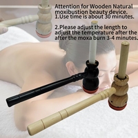 Marteau de moxibustion en bois pour le nombril, avec moxa remplaçable, brûleur de moxa portable bicolore en forme de calebasse, anti-arthritique, amélioration du sommeil, certifié CE