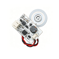 Module d'atomisation USB, mini humidificateur, chauffage électrique, accessoires de pulvérisation et d'humidification 12V