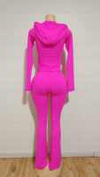 Ensemble deux pièces décontracté pour femme, avec haut à capuche zippé à manches longues et pantalon moulant brodé de couleur unie, style survêtement