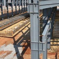 Bâtiment d'élevage de poulets commercial préfabriqué en structure légère isolée en acier, résistant au vent et durable