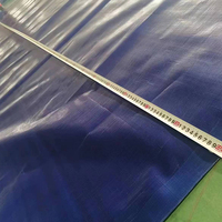 Bâche en PE 200gsm 30x40 Feuille Haute résistance à la déchirure Tissu tissé Couverture extérieure résistante Bâches en PE