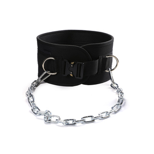 LS0841 Upgraded Weightlifting Dipping <strong>Belt</strong> With Steel Chain Nylon <strong>Weight</strong> <strong>Lifting</strong> Gym Fitness Exercise Weighted <strong>Belt</strong> Pull up Deep - Product Image 2