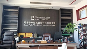 Bán Buôn Nhôm Côn Trùng Màn Hình Hợp Kim Dây Lưới Bay Màn Hình Bạc Nhôm Muỗi Cửa Sổ Lưới Cuộn Sàng Lọc 14*14 Và 18*16 - Product Image 6