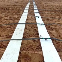 Tuyau PE plat pré-percé résistant aux UV pour irrigation goutte à goutte haute pression pour ferme
