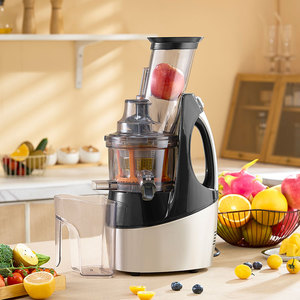 Presse-agrumes lente à froid à faible bruit pour la fabrication <span class=keywords><strong>de</strong></span> glaces aux fruits, vente chaude - Product Image 2