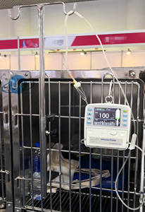 Pompa infusi mikro <span class=keywords><strong>icu</strong></span> hewan peliharaan, pompa infusi dokter hewan peliharaan - Product Image 4