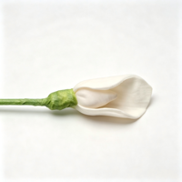 Fleur de Calla en Bois de Sola, Diffuseur d'Arômes Écologique, Décoration de Bureau Élégante pour Remise de Diplôme et Halloween