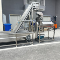Nueva planta de procesamiento de bebida de fruta fresca natural línea de producción de máquina de llenado de jugo de manzana a la venta