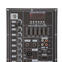 50W 12V Güç Amplifikatörü Kartı 38*19CM, AUX USB TF Kart, Ekran, FM Radyo, Büyük Uzaktan Kumanda, Demir Plaka, Halka Transformatör*