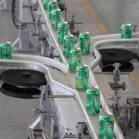 Système de Convoyeur à Chaîne Flexible à Installation Facile en Acier Inoxydable pour l'Industrie des Boissons et de l'Emballage