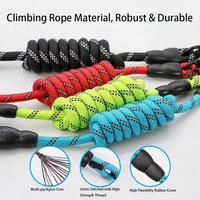Laisse pour chien réfléchissante anti-éclatement, vente en gros d'usine, laisse de promenade durable pour chiens de taille moyenne et grande