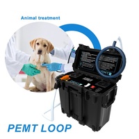 Appareil de thérapie PEMF pour chevaux, haute intensité, boucle magnétique pulsée 24700 Gauss pour la récupération des performances équines et le soutien articulaire