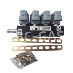 Bc nhiên liệu kép <span class=keywords><strong>cng</strong></span> chuyển đổi Kit 3ohm <span class=keywords><strong>cng</strong></span>/LPG <span class=keywords><strong>cng</strong></span> kim phun đường sắt 4 Xi Lanh - Product Image 4